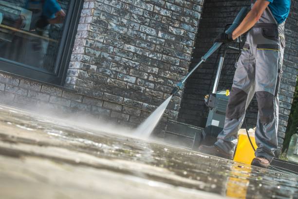 Animal Enclosure Cleaning in Eagle, ID